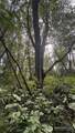 0 Heggeness Road - Photo 7