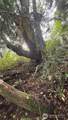 0 Heggeness Road - Photo 10