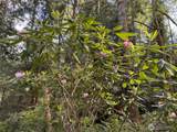 3021 Beth Lane - Photo 24