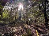 3021 Beth Lane - Photo 4