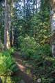 3021 Beth Lane - Photo 9