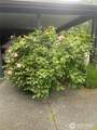 431 Fasola - Photo 4