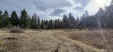 99 Prior Loop Road - Photo 16
