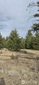 99 Prior Loop Road - Photo 19