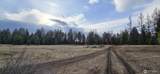 99 Prior Loop Road - Photo 20