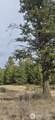 99 Prior Loop Road - Photo 3
