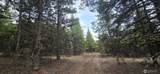 99 Prior Loop Road - Photo 6
