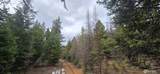 99 Prior Loop Road - Photo 7