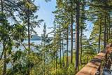 11310 Marine Lane - Photo 30