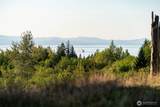 405 Elk Run Trail - Photo 1