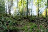 405 Elk Run Trail - Photo 11