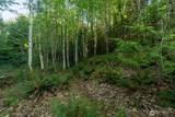 405 Elk Run Trail - Photo 12