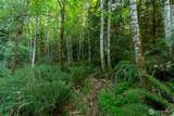 405 Elk Run Trail - Photo 13
