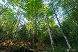 405 Elk Run Trail - Photo 14