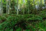 405 Elk Run Trail - Photo 15