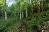 405 Elk Run Trail - Photo 16