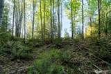 405 Elk Run Trail - Photo 17