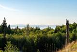 405 Elk Run Trail - Photo 19