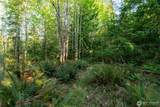 405 Elk Run Trail - Photo 6
