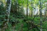 405 Elk Run Trail - Photo 7