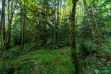 405 Elk Run Trail - Photo 8