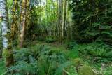 405 Elk Run Trail - Photo 9