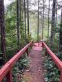 21 Beaver Place - Photo 4