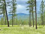 1942 Lyman Lake-Moses Meadows Road - Photo 36