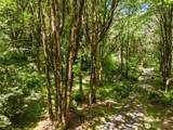4937 Black Lake Boulevard - Photo 3