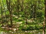 4937 Black Lake Boulevard - Photo 5