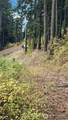 0 Lot 78 Skull Springs Road - Photo 5