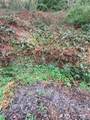 0 xxxx 238th Avenue - Photo 8