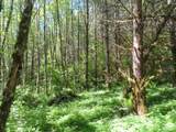 0 XXX Hockett Road - Photo 15