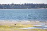 5563 Haida Way - Photo 33