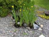 9404 A Street - Photo 17