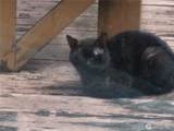 9404 A Street - Photo 37