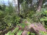 11018 Matthews Way - Photo 3