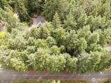 11321 Lake Josephine Avenue - Photo 4