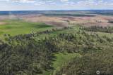 32312 North Pine Creek Road - Photo 6