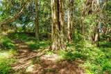 8888 Charles Roberts Road - Photo 15
