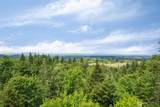 90 Jeanne Saeger Loop - Photo 25