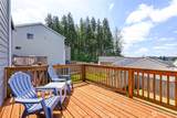 4201 Nettle Drive - Photo 12
