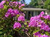 55 Wolf Road - Photo 36
