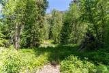 97 TBD Cedarosa Way - Photo 12