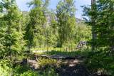 97 TBD Cedarosa Way - Photo 5