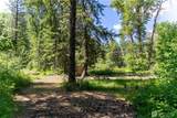 97 TBD Cedarosa Way - Photo 6