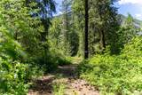 97 TBD Cedarosa Way - Photo 10