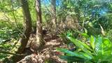 0 NHN Harbor View Drive - Photo 27