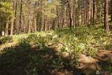 201 Libby Creek Road - Photo 31