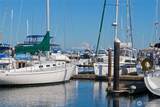 9540 Semiahmoo Pkwy - Photo 13